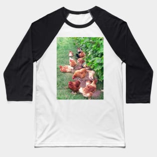 Vineyard With Chickens Baseball T-Shirt